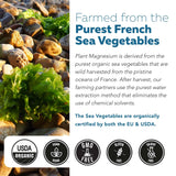 Triquetra Health Organic Plant-Based Magnesium product packaging