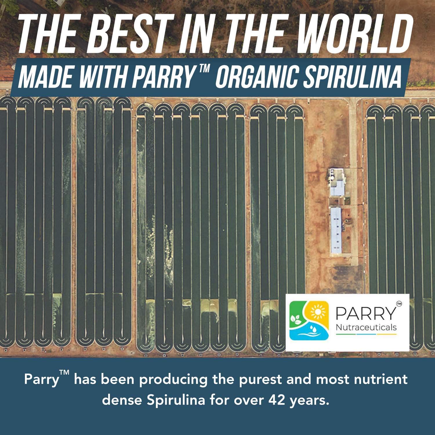 Triquetra Health Organic Spirulina Powder nutritional information