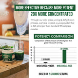 Triquetra Health Organic Wheatgrass Juice Powder 150g close-up