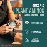 Triquetra Health Plant Aminos 240g back view showing ingredients