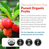Triquetra Health Plant-C Organic Vitamin C 250mg Capsules lifestyle scene