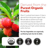 Triquetra Health Plant-C Organic Vitamin C 250mg lifestyle scene