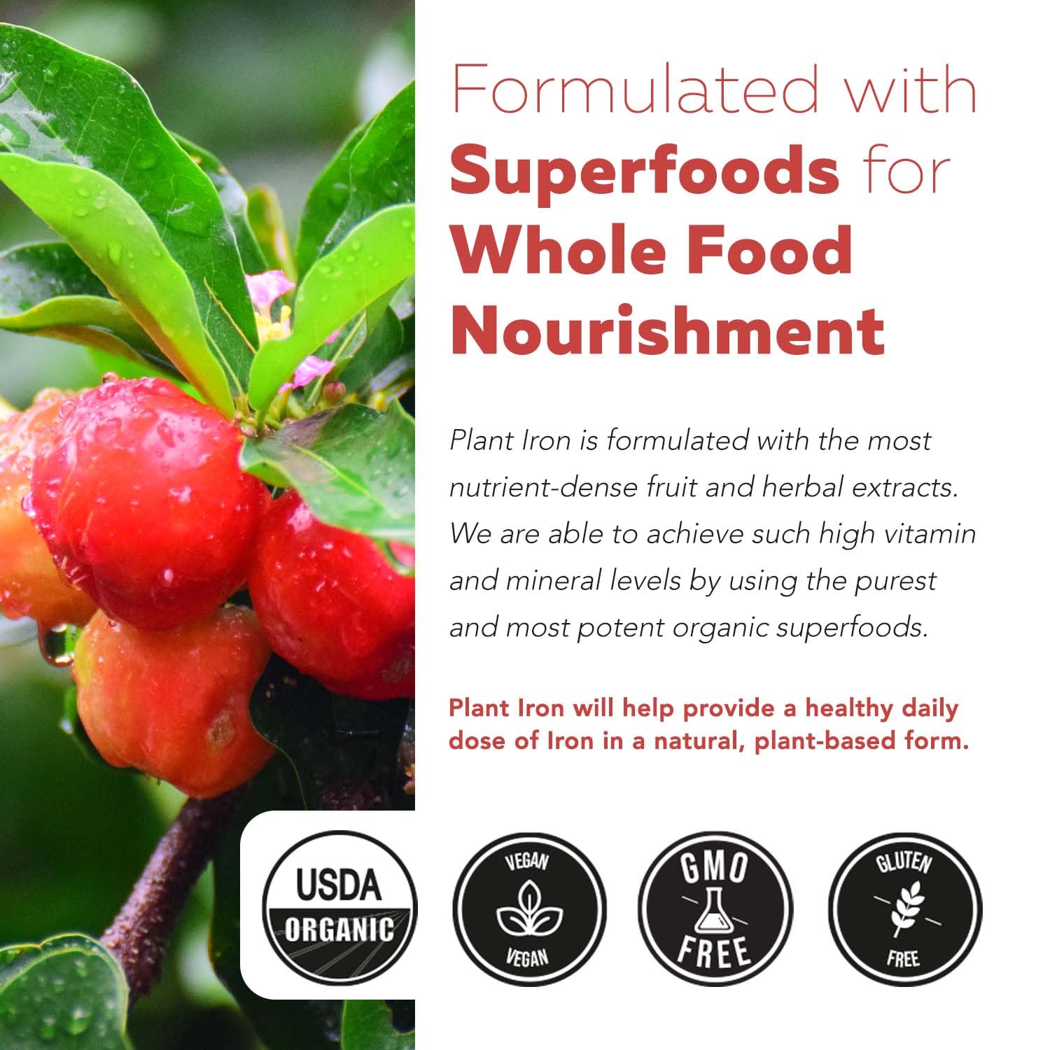 Triquetra Health Plant Iron supplement with a green plant background