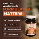 Triquetra Health Reishi Mushroom Capsules displayed with organic ingredients