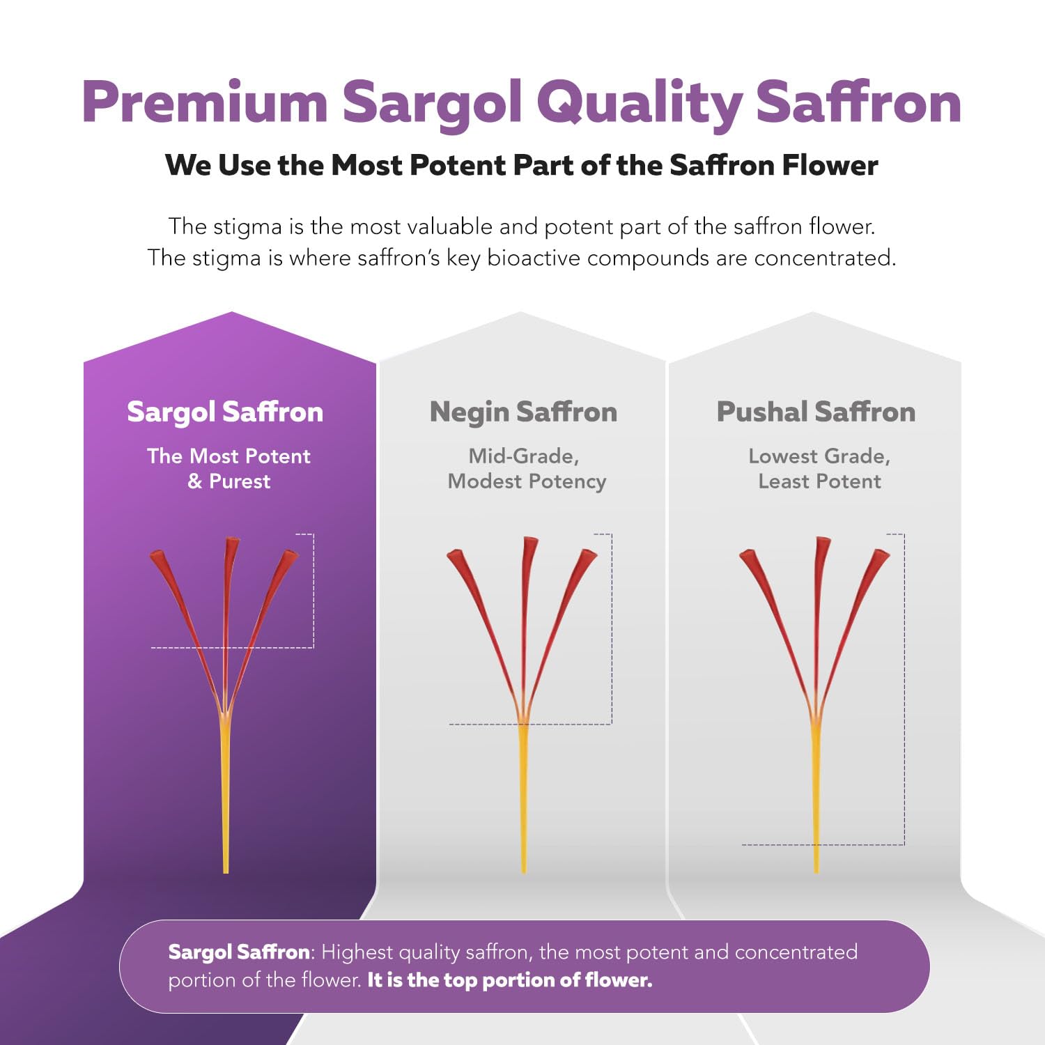 Triquetra Health Saffron Capsules lifestyle scene with a cup of tea