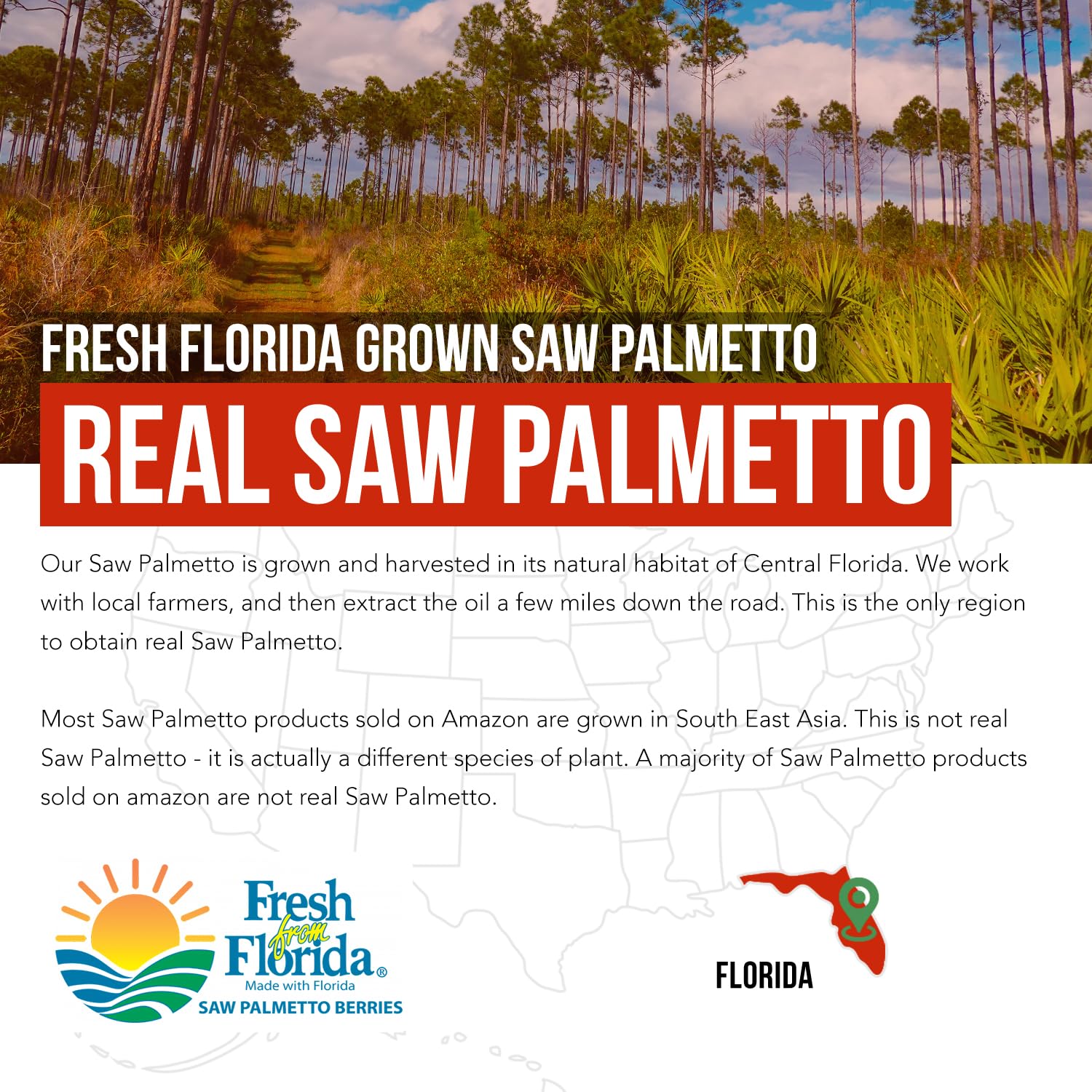Triquetra Health Saw Palmetto Extract 100% Oil 320mg with pumpkin seed oil