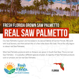 Triquetra Health Saw Palmetto Extract 100% Oil 320mg with pumpkin seed oil