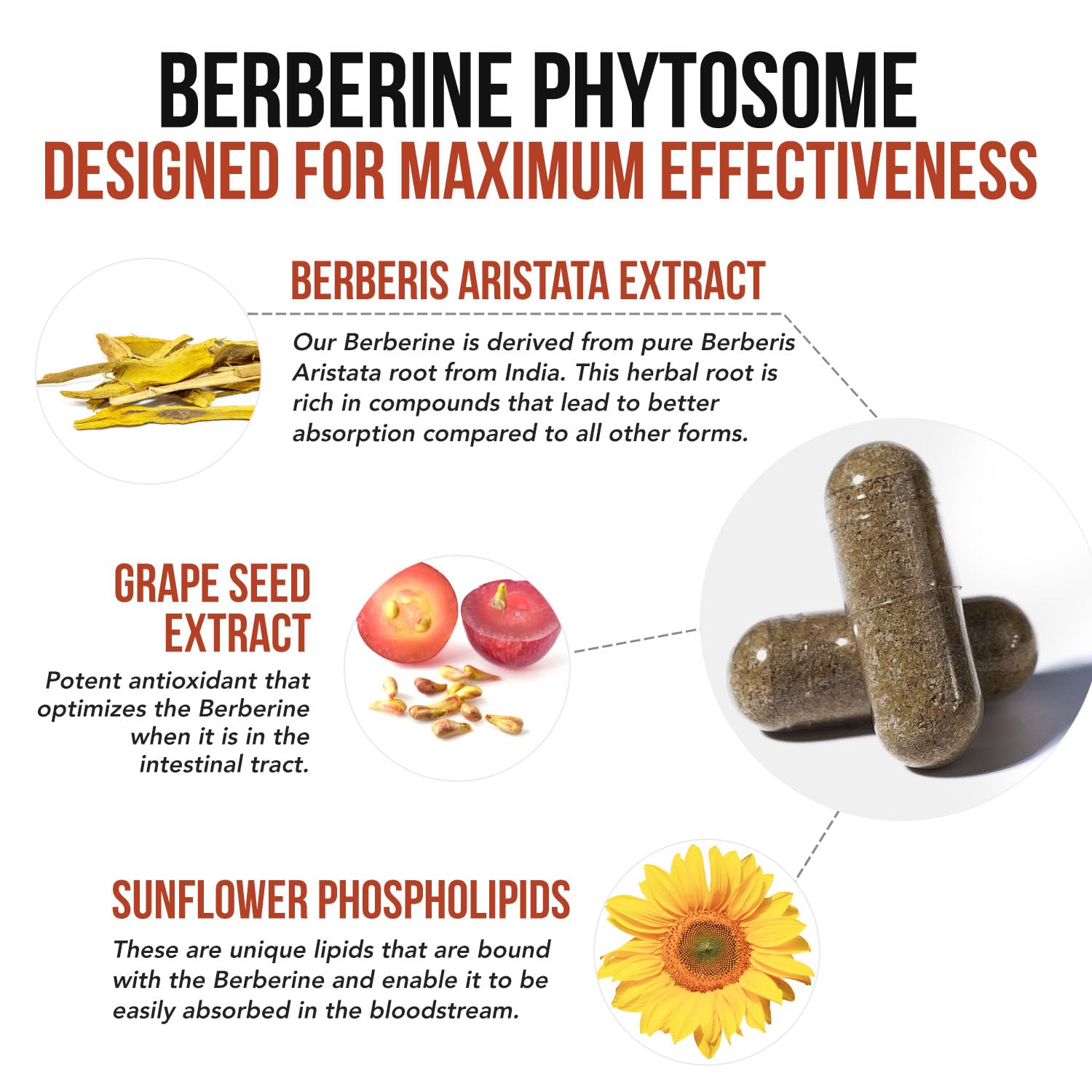 Triquetra Health SoActive Berberine Phytosome 550mg capsules with measuring spoon