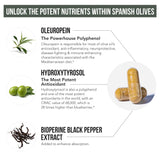Triquetra Health Total Olive Leaf Extract 40% Oleuropein in a natural setting