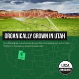 Triquetra Health Wheatgrass Juice Powder nutritional information