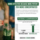 Triquetra Health Wheatgrass Juice Powder organic lemon flavour