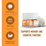 Troomy Nootropics Focus Mushroom Gummies passionfruit flavour