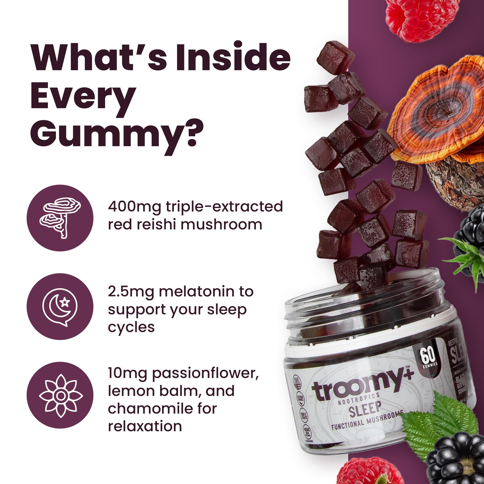 Troomy Nootropics Sleep Gummies ingredients list