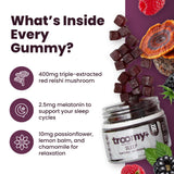 Troomy Nootropics Sleep Gummies ingredients list