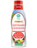Tropical Oasis Premium Liquid Glucosamine Chondroitin 454g front view
