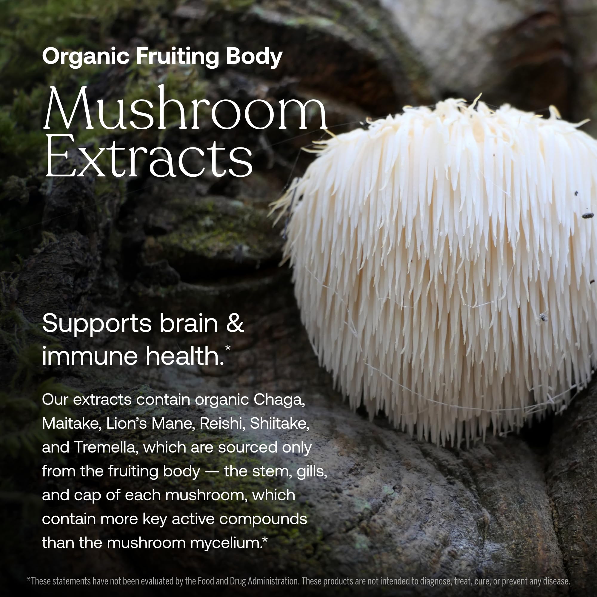 True Grace Multivitamins ingredients list on packaging