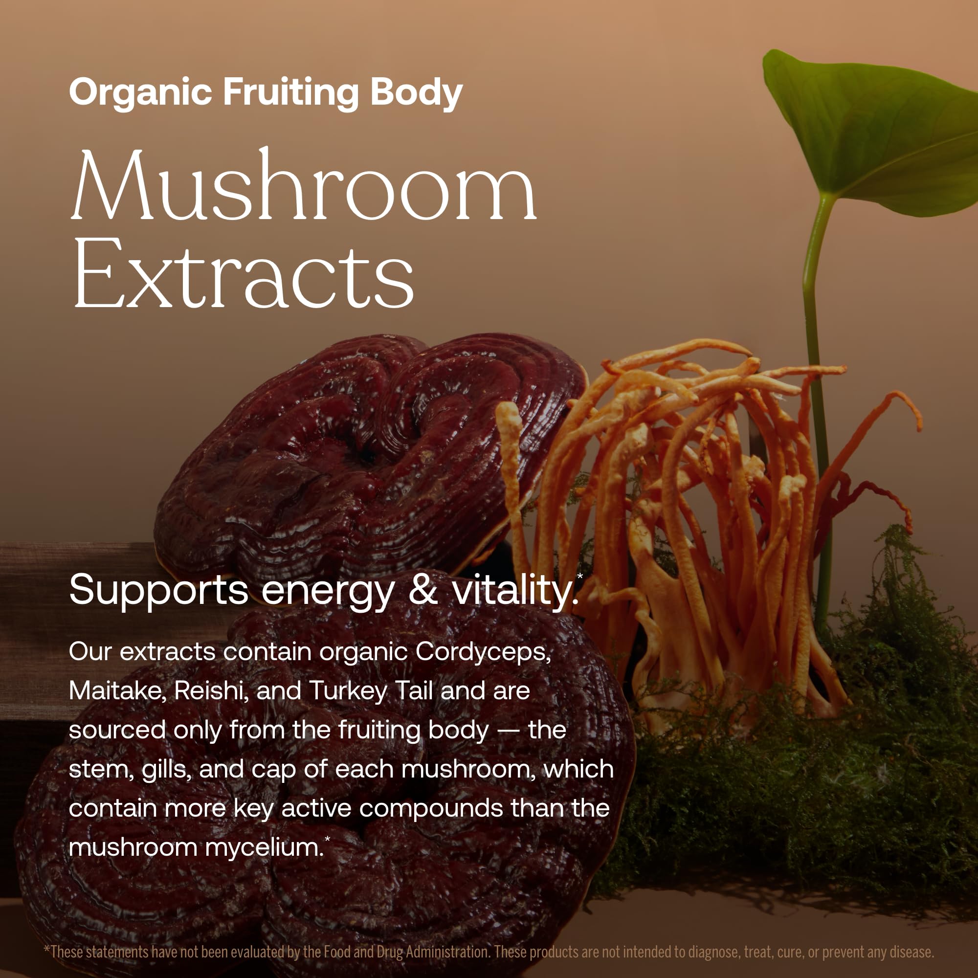 True Grace Multivitamins organic mushroom blend ingredients