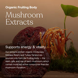 True Grace Multivitamins organic mushroom blend ingredients