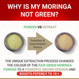 True Veda Organic Moringa Capsules on a wooden surface