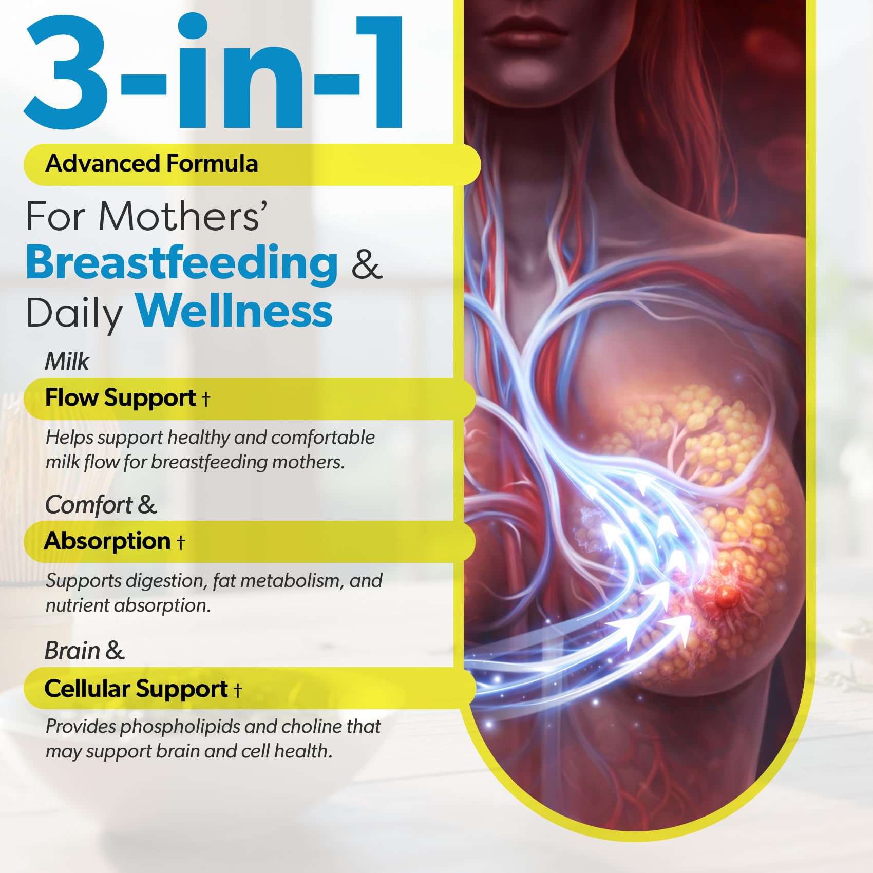 TRUEMED Sunflower Lecithin Softgels 1200mg back view