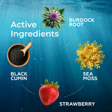 TrueSeaMoss Liquid Drops back view showing nutrition facts