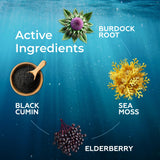 TrueSeaMoss Liquid Extract Elderberry Drops label close-up