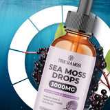 TrueSeaMoss Liquid Extract Elderberry Drops lifestyle scene outdoors