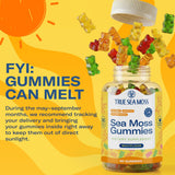TrueSeaMoss Multivitamin Gummies displayed with other supplements