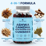 TrueSeaMoss Multivitamin Gummies in lifestyle setting