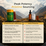 TRUSTED RITUALS Mullein Leaf Extract back view with ingredients