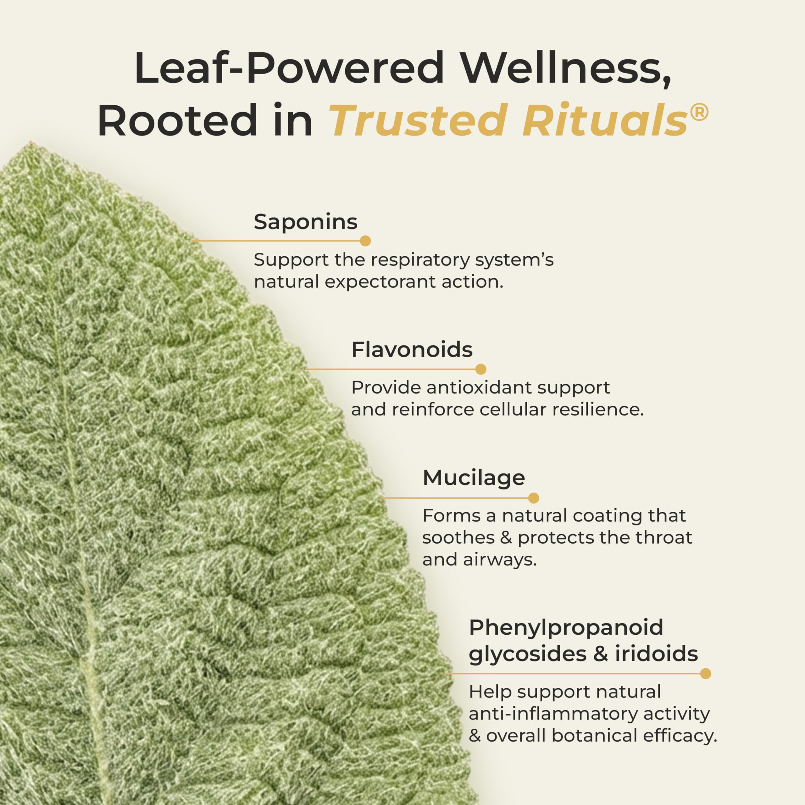 TRUSTED RITUALS Mullein Leaf Extract on a wooden table