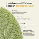 TRUSTED RITUALS Mullein Leaf Extract on a wooden table