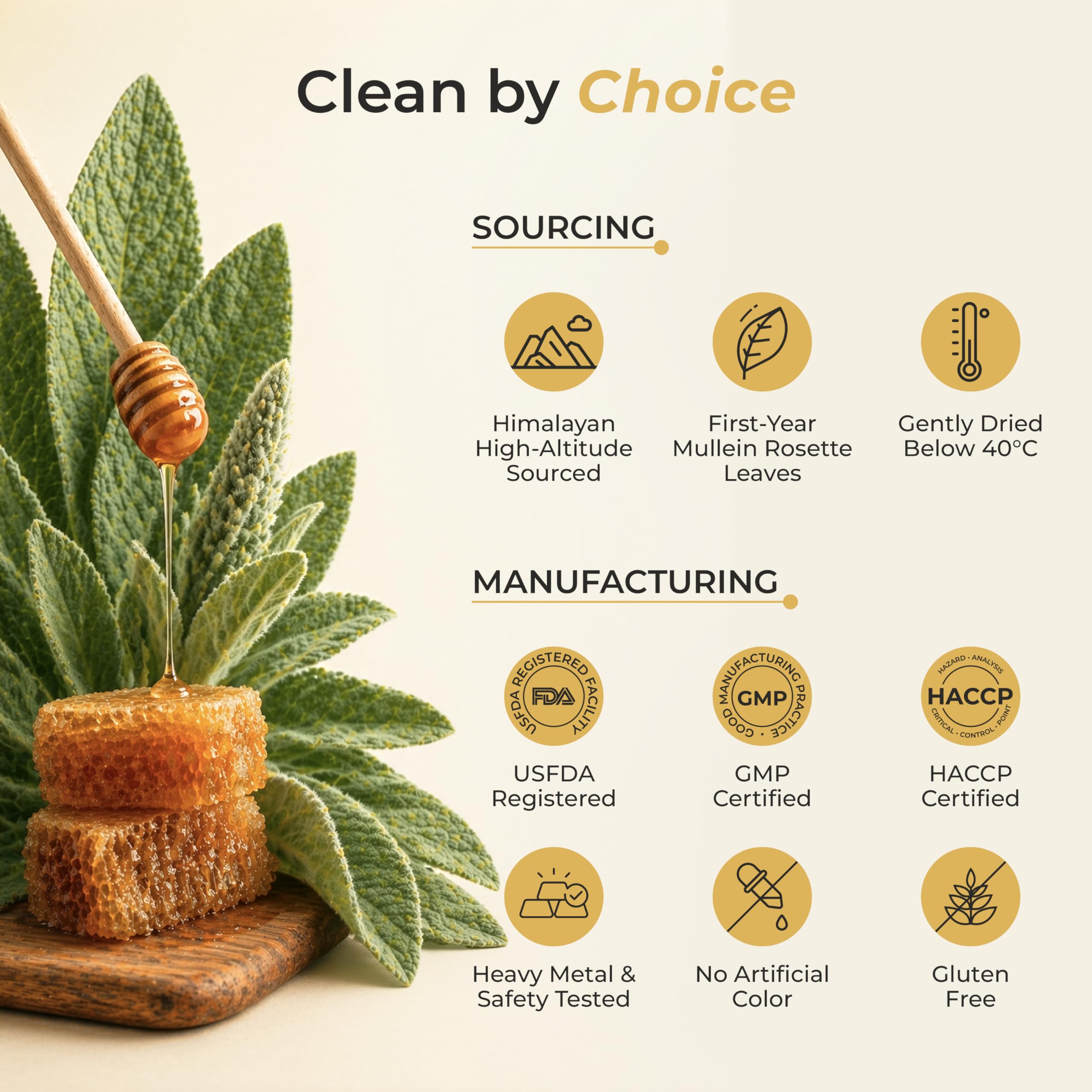 TRUSTED RITUALS Mullein Leaf Extract with herbal tea