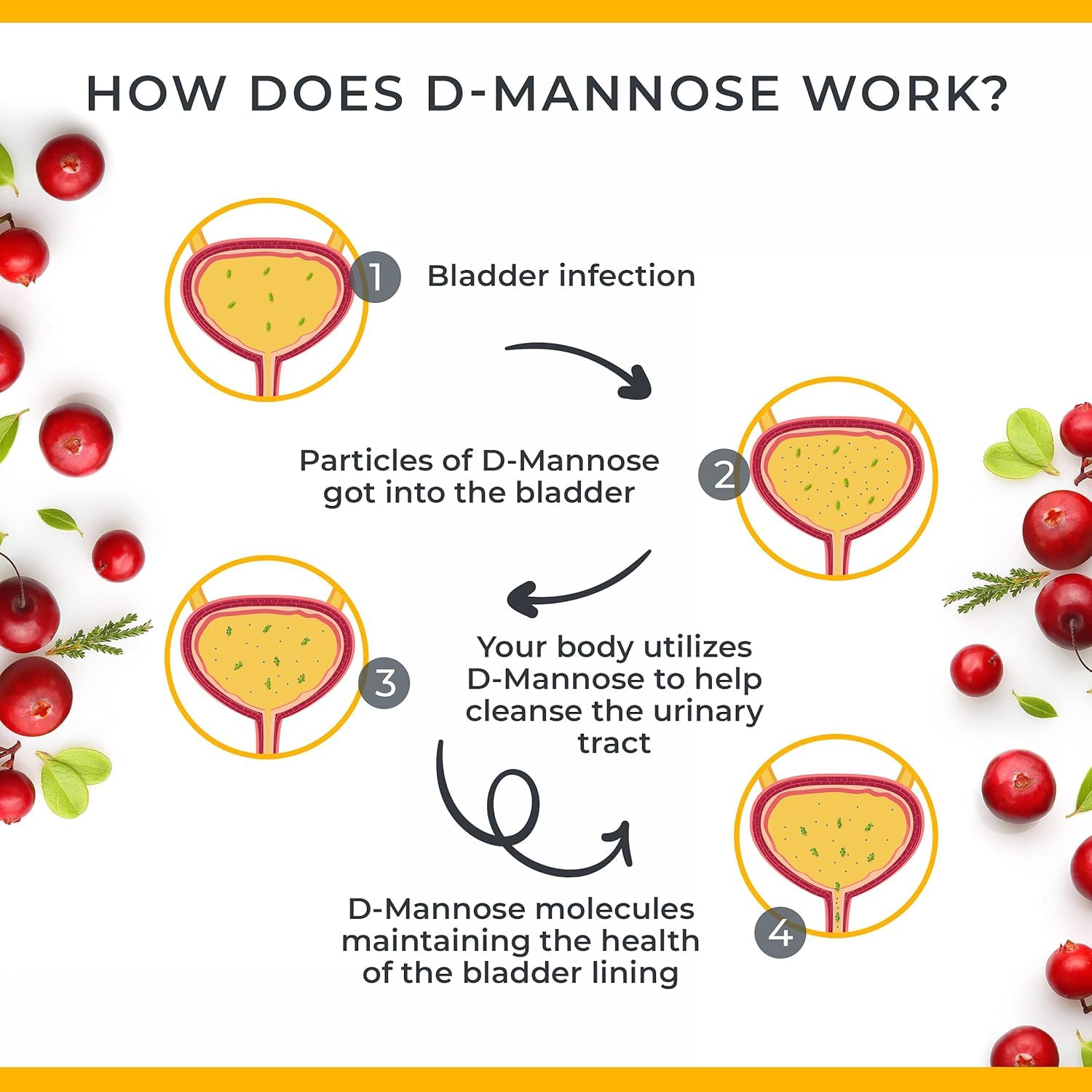 Tucano Bads Cranberry D Mannose Supplement ingredients list