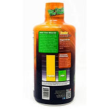 Turbo Power Multivitamin Liquid Supplement 907g Tropical Blast flavour