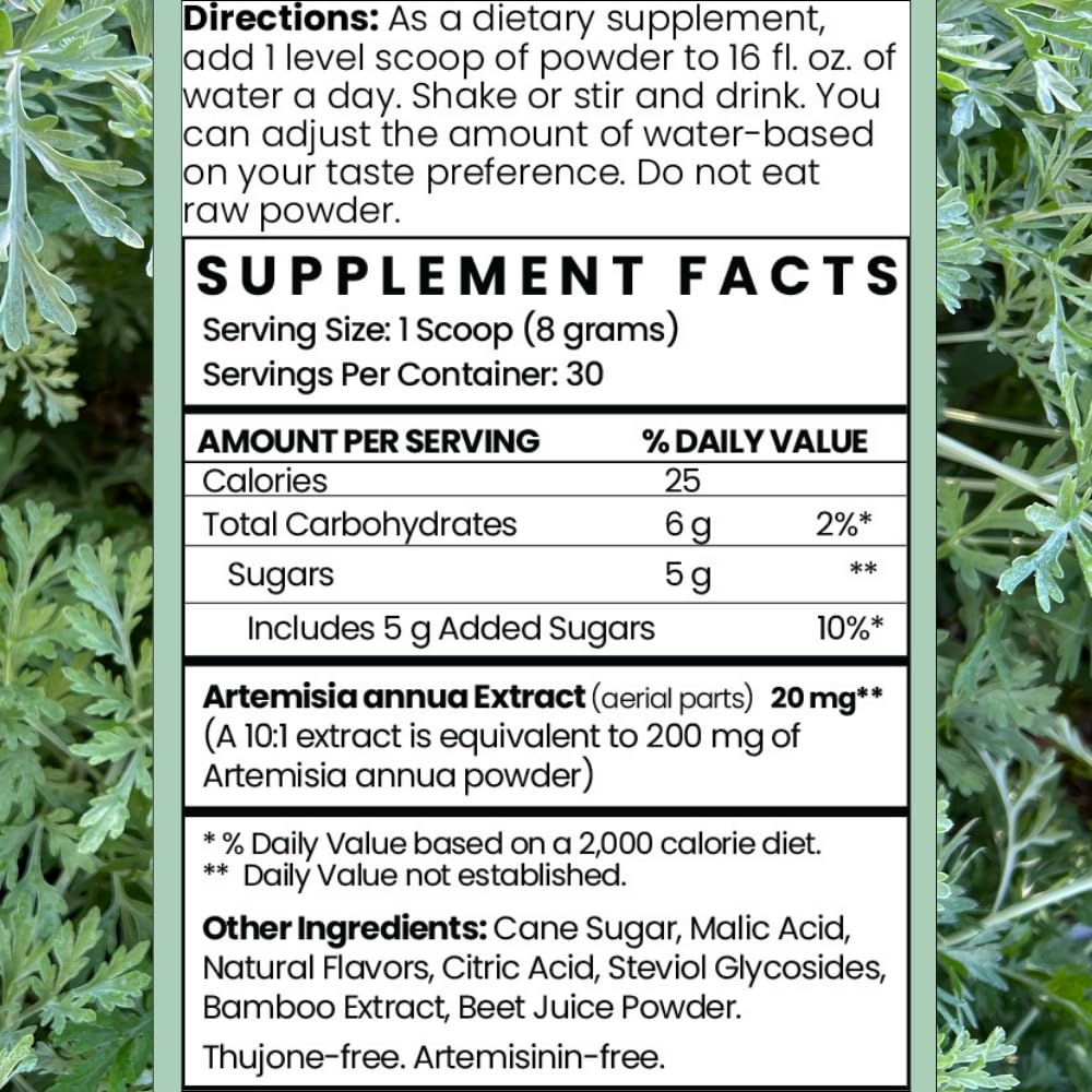 Twig & Leaf daily wellness Support Supplement 299g packaging
