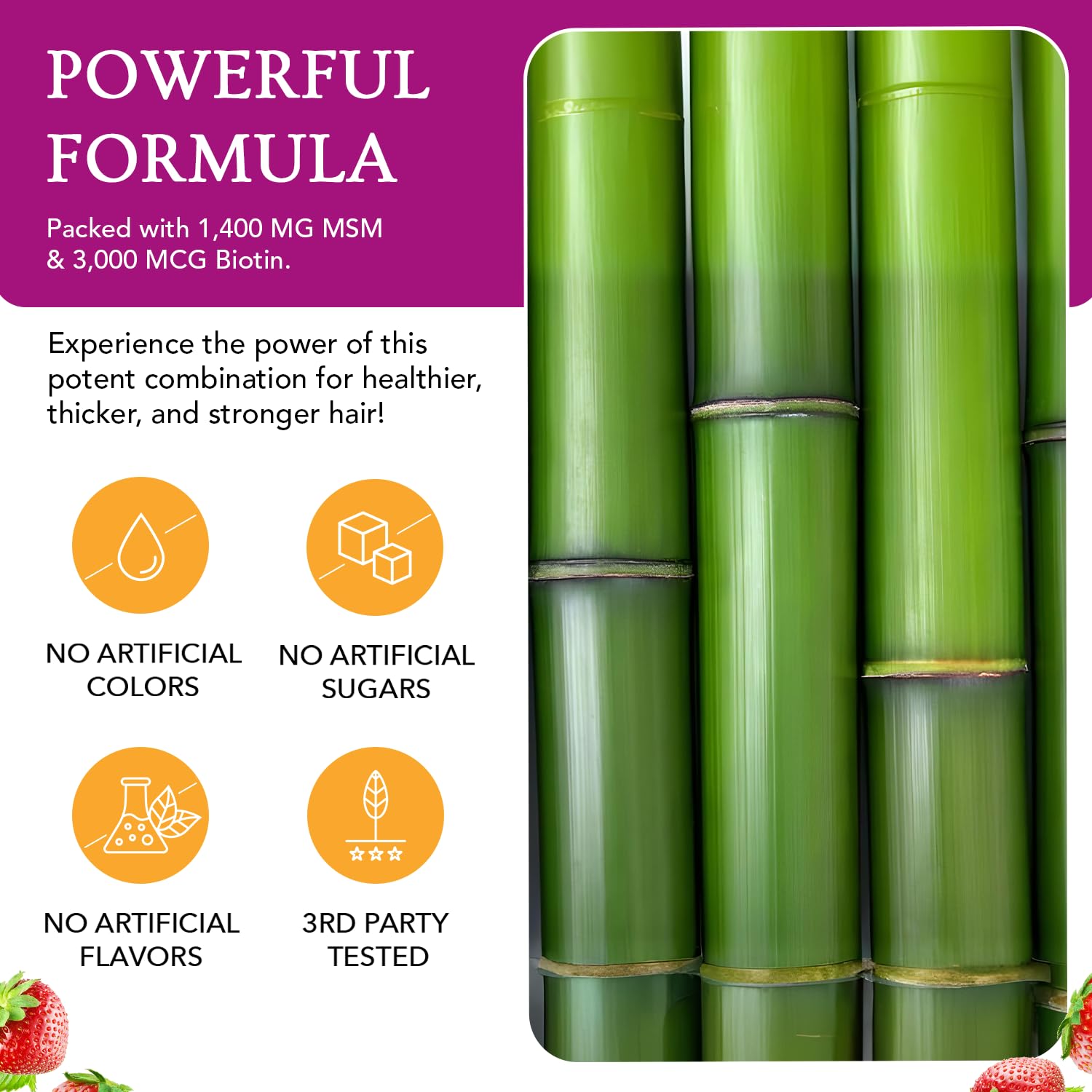 Twig & Leaf MSM Biotin Powder ingredients list