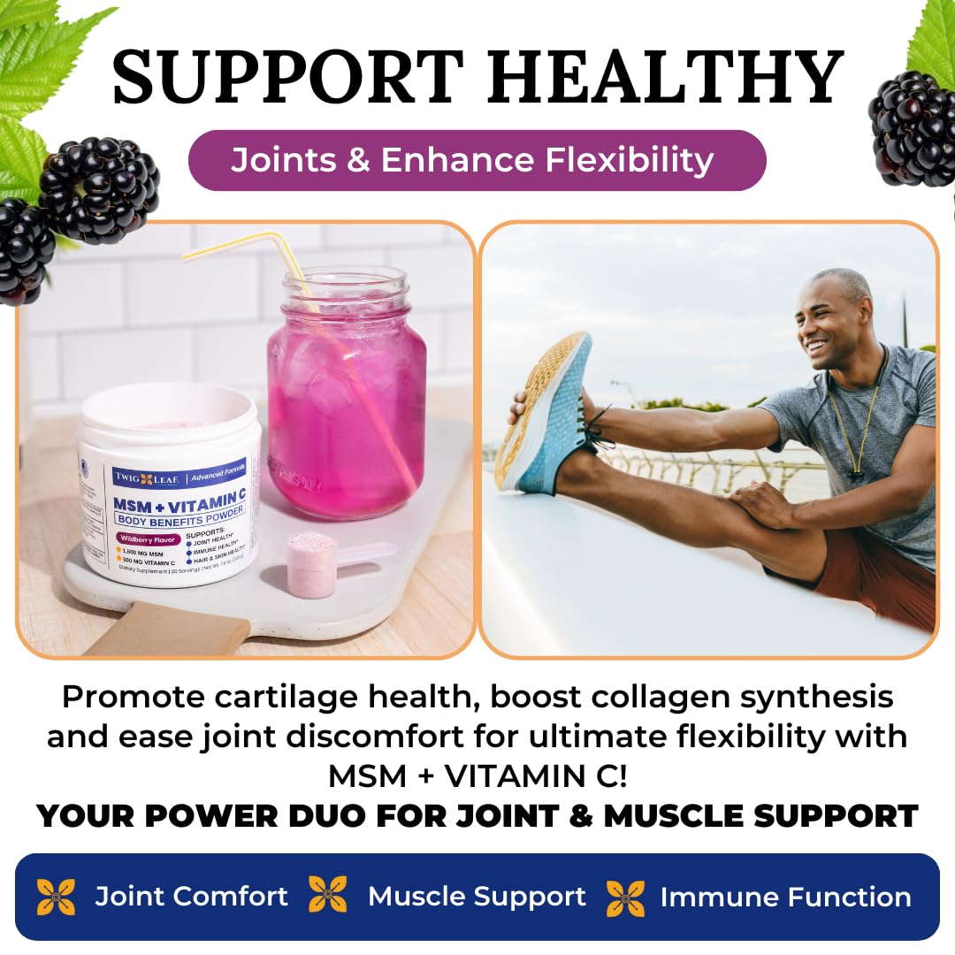 Twig & Leaf MSM Powder on a kitchen counter