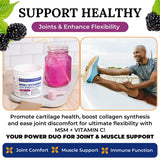 Twig & Leaf MSM Powder on a kitchen counter