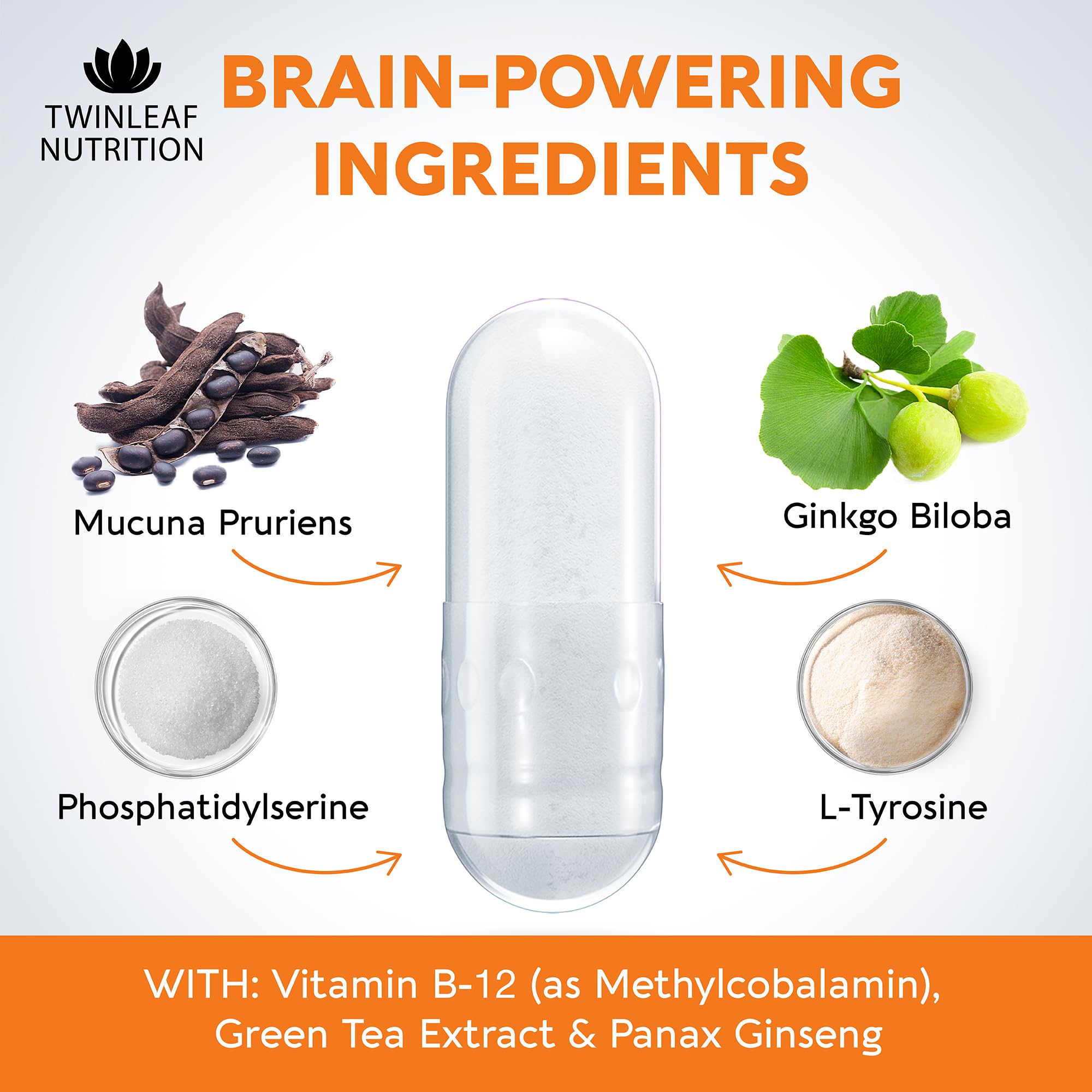 TWINLEAF NUTRITION 5-HTP Brain Food Supplement ingredients list