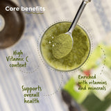 Two Brothers India Farms Moringa Powder in a bowl with a spoon