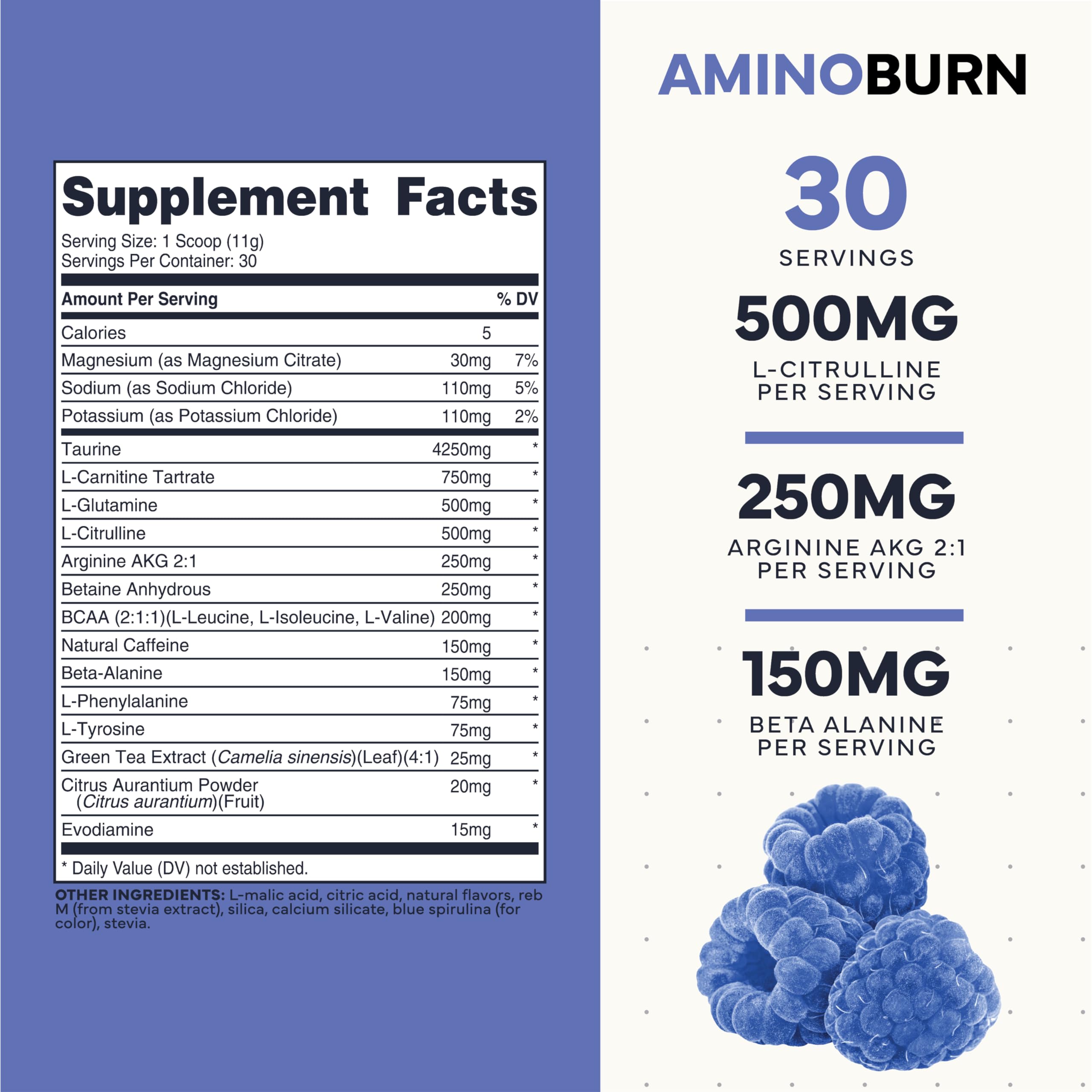 Type Zero Amino Burn Vegan BCAA Powder packaging side view