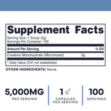 Type Zero Creatine Monohydrate 500g back view with nutritional information
