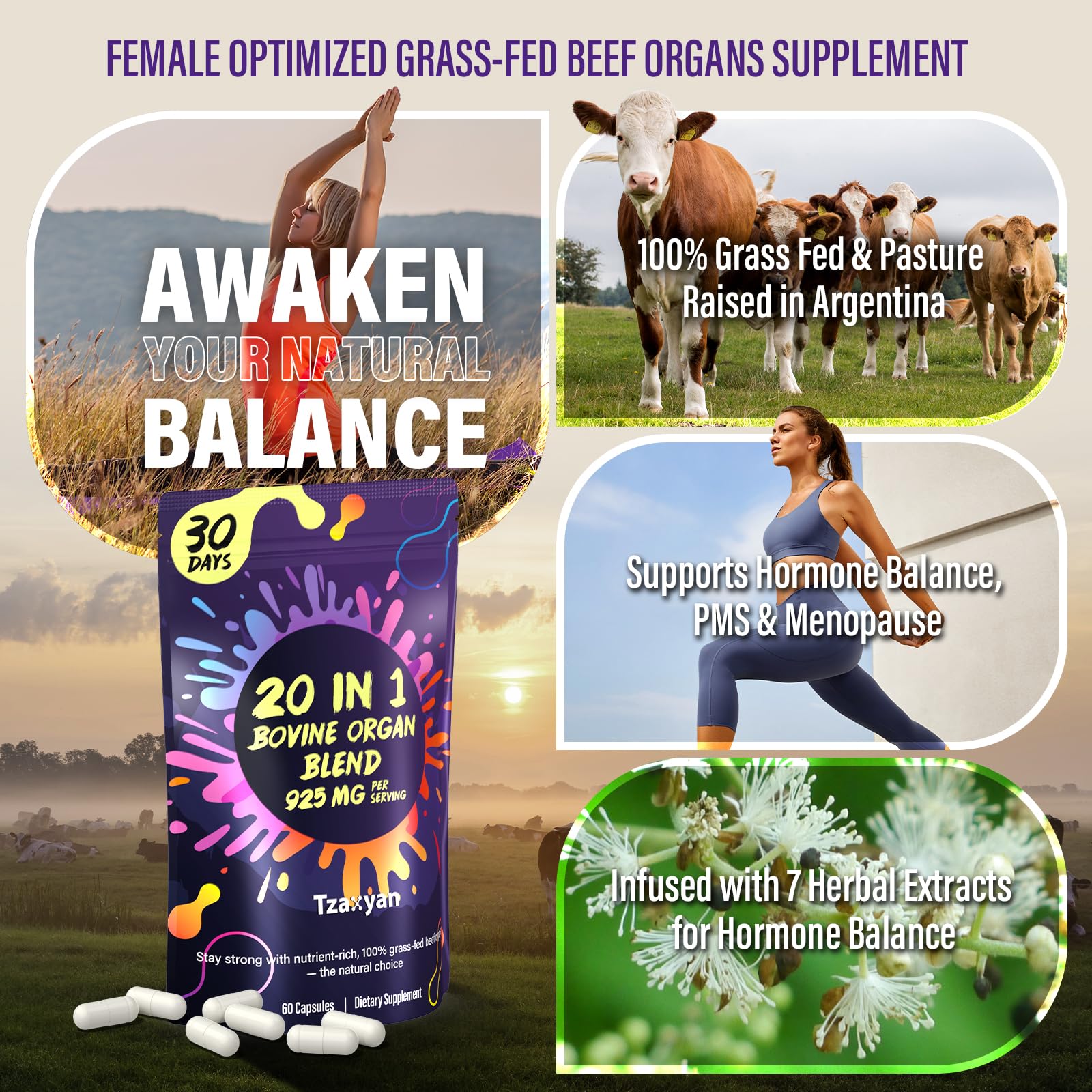 tzaxyan Beef Organ Supplement for Women capsule close-up