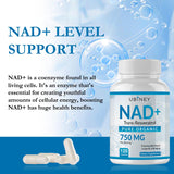 Ubiney NAD+ Supplement 750mg back view with ingredient list