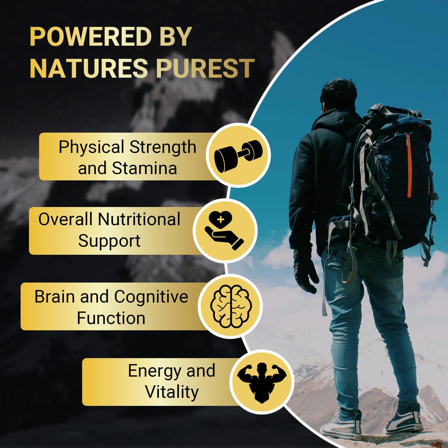 Ubiney Shilajit Capsules side view showing capsule details