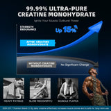 ULIKEATM Creatine Gummies displayed with fitness accessories
