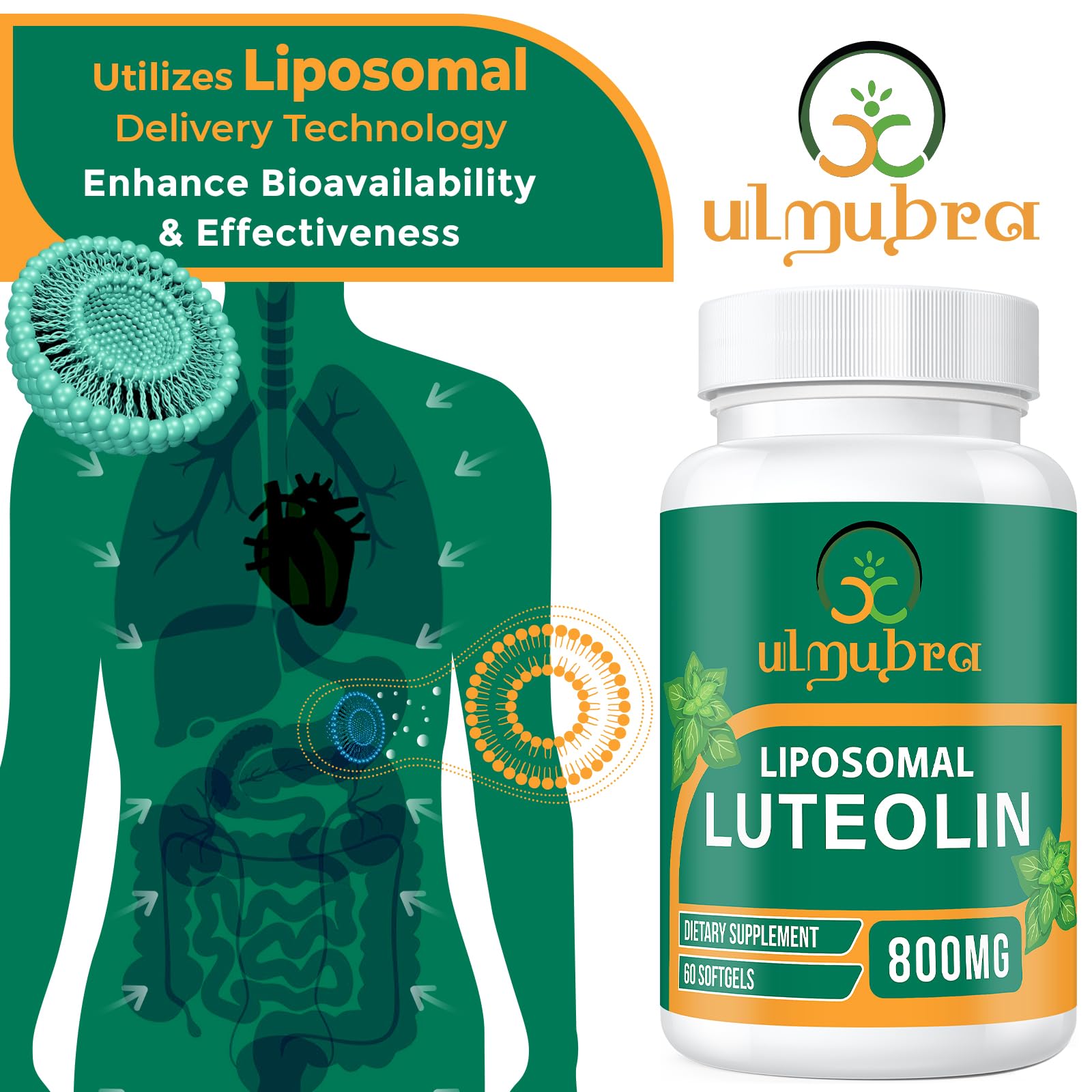 Ulmubra Liposomal Luteolin 800mg Softgels close-up of softgel