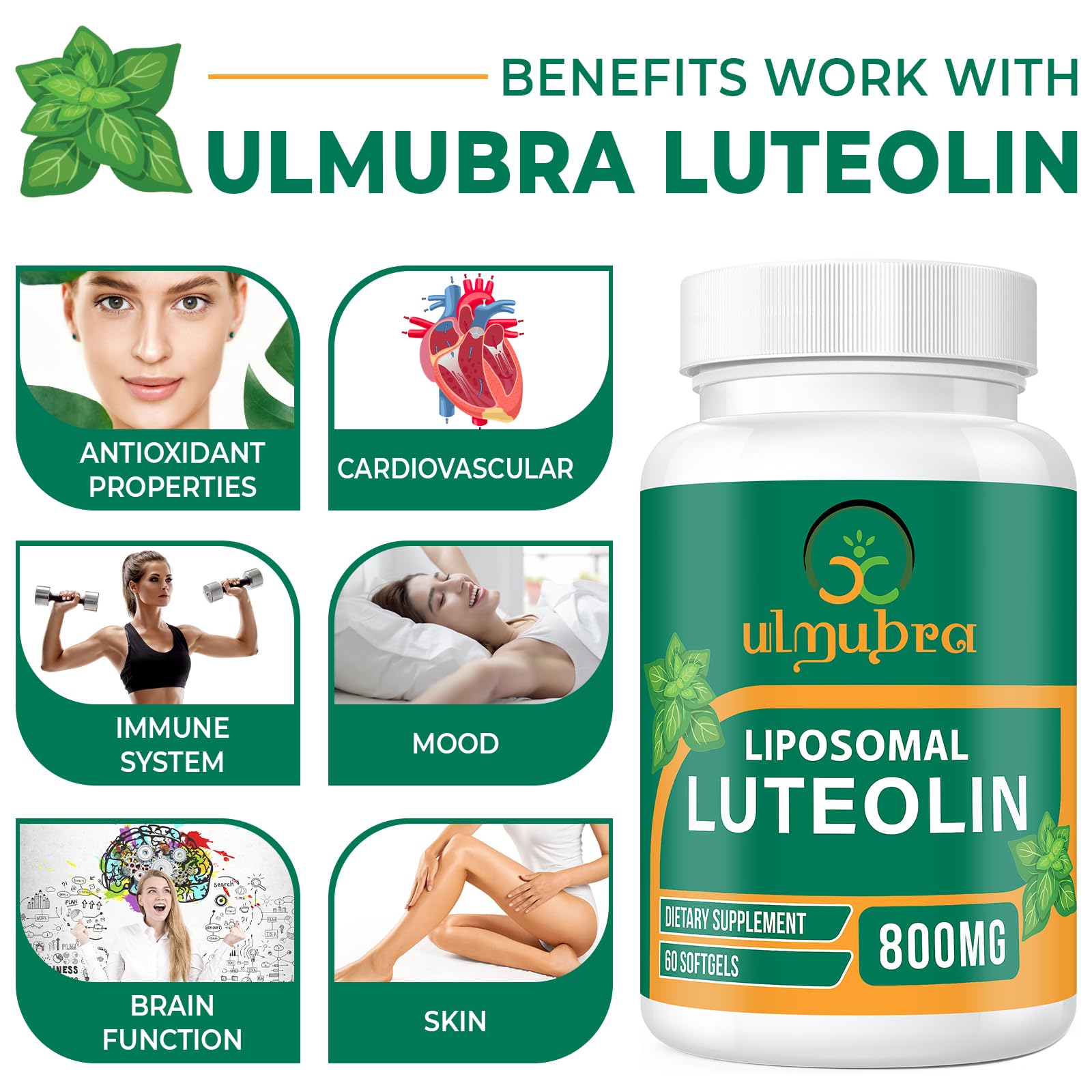 Ulmubra Liposomal Luteolin Softgels 800mg back label