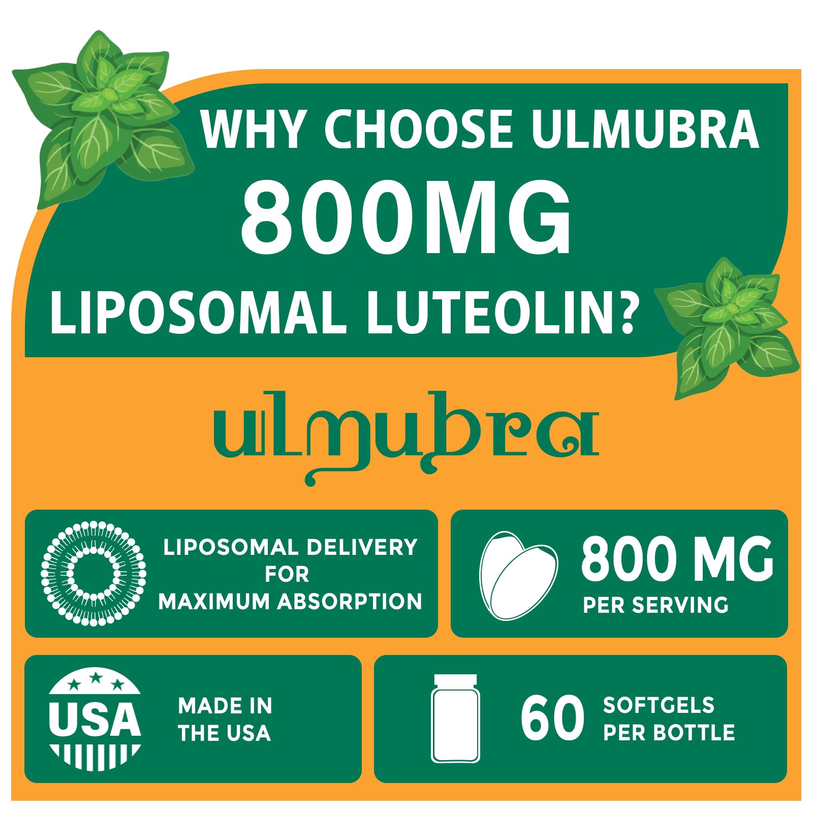 Ulmubra Liposomal Luteolin Softgels 800mg bottle side view